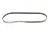 Ремінь генератора BMW 5 (E60)/X3 (E83/)X5 (E70)/X6 (E71/E72) 3.0D 04-13 M57 Gates 4PK843SF (фото 5)