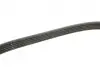 Ремінь генератора Ford Mondeo IV 2.5 07-15/Volvo S60 II/S80II/V60 I/V70 III/XC60 I/XC70 II 07-16 Gates 5PK628-620SF (фото 3)
