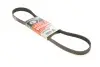 Ремінь генератора Ford C-Max II/Focus III/Fiesta VI/Mondeo IV 1.2-1.6LPG 07- Gates 6PK1030SF (фото 1)