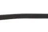 Ремінь генератора Citroen C3/C4/Peugeot 307 1.4-1.6HDi 02- Gates 6PK1090SF (фото 3)