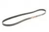 Ремінь генератора Ford Focus II/C-Max/Volvo C30/S40 II/V50 1.8/2.0 04-12 Gates 6PK1249SF (фото 2)
