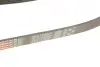 Ремінь генератора Ford Focus II/C-Max/Volvo C30/S40 II/V50 1.8/2.0 04-12 Gates 6PK1249SF (фото 4)