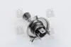 Лампа головного света H4 P43t 12V 100/90W &lt;&gt; TEMPEST H4 12V100/90W P43T (фото 2)