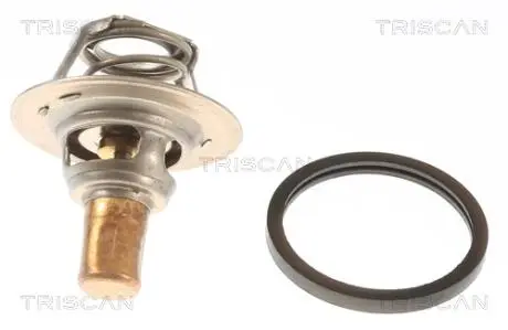 Термостат 91 С Renault Clio 1.2/1.4/19 (B/C53) -92 TRISCAN 862011191