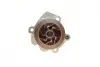 Комплект ГРМ + помпа Audi A3/A4/A5/A6/Q5/VW Caddy/Crafter/T5/T6 1.6TDI-2.0TDI 09- (25x160z) BOSCH 1 987 946 943 (фото 30)