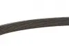Ремінь генератора Citroen Jumper/Fiat Ducato/Peugeot Boxer 2.0 94- Gates 6PK700 (фото 2)
