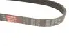 Ремінь генератора Citroen Jumper/Fiat Ducato/Peugeot Boxer 2.0 94- Gates 6PK700 (фото 3)