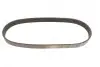 Ремінь генератора Citroen Jumper/Fiat Ducato/Peugeot Boxer 2.0 94- Gates 6PK700 (фото 4)
