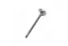 Клапан-EXH / STD / V96 / DOHC PRINCE (PMC-ESSENCE) PARTS-MALL HCZC-008E (фото 2)