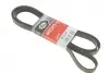 Ремінь генератора MB E-class (W124/W211) 02-08 104/M113/Land Rover Range Rover 5.0SCV8 13- 6PK2448