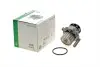 Помпа води VW T5/Caddy 1.9TDI/2.0SDI 03-10, z=19 BSU,BJB,BLS,BDJ,BST,BRR,AXC,BRS,AXB INA 538 0054 10 (фото 1)