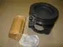 Поршень RVI Dxi 11 Eu4/5 123.01 mm (пр-во Mahle) 209 73 00
