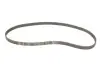 Комплект ГРМ + помпа Opel Astra G/Vectra/Combo 1.6 05-/Skoda Fabia 1.4 04-07 (20x162z)(VKPC 85211) SKF VKMC 05156-2 (фото 2)