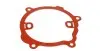 Прокладка водяної помпи Renault Kangoo 1.5 dCi RENAULT / DACIA 82 00 265 416 (фото 1)