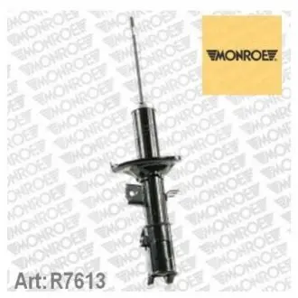 Ам-тор перед. прав. масл. Hyundai Getz 09.02- MONROE R7613