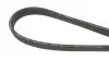 Ремінь генератора BMW 1 (E81/E87)/3 (E90-E93) 2.0/3.0d 06-12 N47/N57 Gates 6DPK1698 (фото 3)