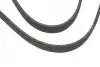 Ремінь генератора BMW X5 (E70)/X6 (E71/E72) 09-14 Gates 7DPK1880 (фото 2)