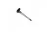 Клапан впуск. Astra/Corsa/Vectra/Zafira 1.4-1.6 i 97- MAHLE / KNECHT 011 VE 30457 000 (фото 1)