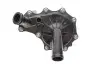 Помпа води Fiat Ducato 2.2D/Citroen Jumper 2.2HDI/Ford Transit 2.2TDCi 06- SKF VKPA 84700 (фото 3)