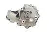 Помпа води Fiat Ducato 2.2D/Citroen Jumper 2.2HDI/Ford Transit 2.2TDCi 06- SKF VKPA 84700 (фото 8)