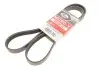 Ремінь генератора Ford C-Max II/Focus III/Kuga II 1.5EcoBoost 14- Gates 6PK1535XS (фото 1)