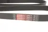 Ремінь генератора Dacia Dokker/Duster/Logan 1.4/1.6 04- Gates 6PK1823XS (фото 3)