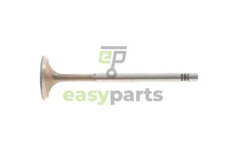Клапан (впуск) VW Caddy II/III/Golf 1.4/1.6FSI/TSI 00- (29.5x6x100,9) MAHLE / KNECHT 029 VE 30528 000