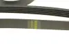 Ремінь генератора BMW 3 (E46)/5 (E39)/X5 3.0D 98- DAYCO 5PK2060 (фото 4)