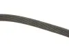 Ремінь генератора VW Crafter 2.5TDI (-AC) /MB OM601/602 (+PS) DAYCO 6PK2000 (фото 3)