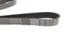 Ремінь генератора Renault Master/Opel Movano 2.5 dCi 03- (-AC) DAYCO 7PK1153 (фото 2)