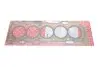 Прокладка ГБЦ Volvo C30/C70/S40/S60/V70/XC60/XC70/XC90 05-17 (1 метка) (1.02mm) ELRING 131.172 (фото 1)
