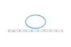 Прокладка насосу паливного Audi/VW/Ford/MB/Opel/Renault (31.5x2mm) 174.270