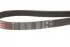 Ремінь генератора Suzuki Grand Vitara 2.0 05- Gates 5PK1550 (фото 3)