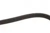 Ремінь генератора Suzuki Grand Vitara 2.0 05- Gates 5PK1550 (фото 4)