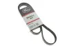 Ремінь генератора Citroen Nemo/Fiat Fiorino/Peugeot 206 1.4/1.8 03- Gates 6PK1225 (фото 2)