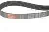 Ремінь генератора Citroen Nemo/Fiat Fiorino/Peugeot 206 1.4/1.8 03- Gates 6PK1225 (фото 3)