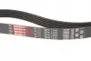 Ремінь генератора Ford Galaxy II/Mondeo IV 2.0 TDCi 06-15 Gates 6PK1245 (фото 2)