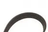 Ремінь генератора Ford Galaxy II/Mondeo IV 2.0 TDCi 06-15 Gates 6PK1245 (фото 3)
