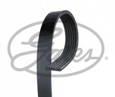 Ремінь Gates 6PK1503