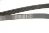 Ремінь генератора Ford Focus/C-Max 1.8 TDCi 05-12/Skoda Octavia 1.4 i 99-01 Gates 6PK1520 (фото 5)