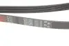 Ремінь генератора Fiat Doblo/Opel Combo 1.3D 10- Gates 6PK1525 (фото 2)