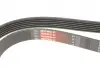 Ремінь генератора Fiat Doblo/Opel Combo 1.3D 10- Gates 6PK1525 (фото 6)
