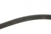 Ремінь генератора VW T5 2.0TSI 11-15 Gates 6PK1583 (фото 3)