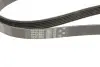 Ремінь генератора VW T5 2.0TSI 11-15 Gates 6PK1583 (фото 5)