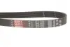 Ремінь генератора Opel Astra 1.7CDTi 03-/Renault Megane/Laguna 1.9-3.0 97-03 Gates 6PK1605 (фото 2)