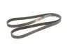 Ремінь генератора Peugeot Expert 1.9D/2.0HDI 98-/Renault Clio/Kangoo/Megane 1.4/1.6 98-03 Gates 6PK1750 (фото 2)