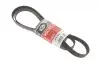 Ремінь генератора Ford Mondeo IV 2.0TDCI 07-15/Volvo S80/V70 2.0D/TDi 07-15 6PK1845