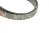 Ремінь генератора Ford Focus 1.4/1.6 16V 98-04 Gates 6PK1915 (фото 4)