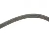 Ремінь генератора BMW 3 (E46) 2.0d 01-05 M47 Gates 6PK2090 (фото 3)