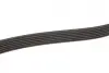 Ремінь генератора Audi A4/A5/A6 2.7TDI/3.0TDI 04-11 Gates 6PK2500 (фото 4)